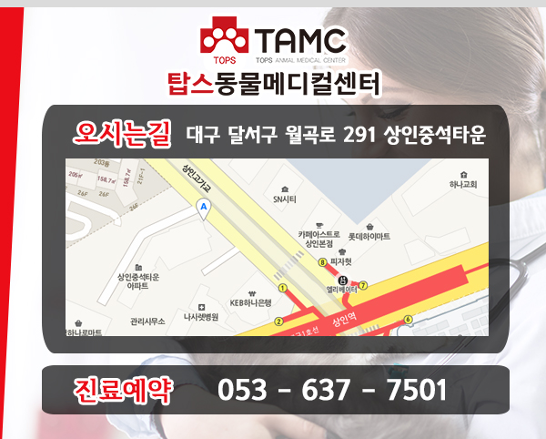  찾아 오시는 길