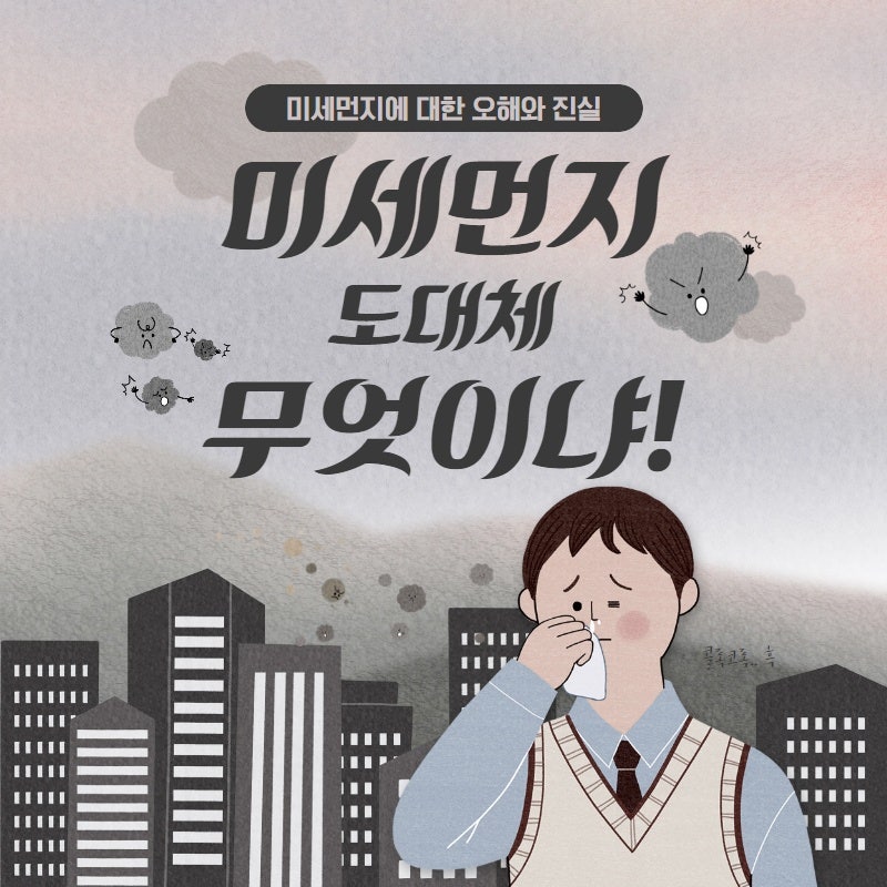 아이큐에어250 청정국가에서 날아온 공기청정기