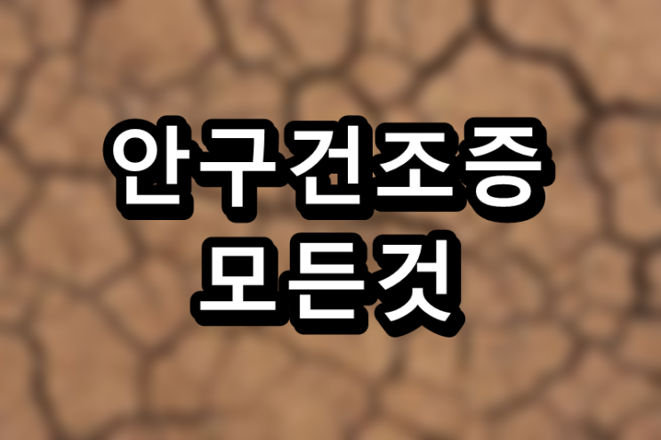  눈 건강 프로젝트 네 번째, 안구건조증