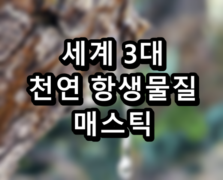  헬리코박터균 제거에 효과적인 세계 3대 천연 항생물질, 매스틱