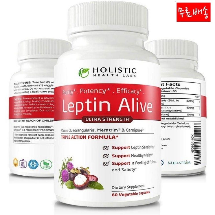   Holistic Leptin Alive 시서스 300mg 60베지캡슐 1개 