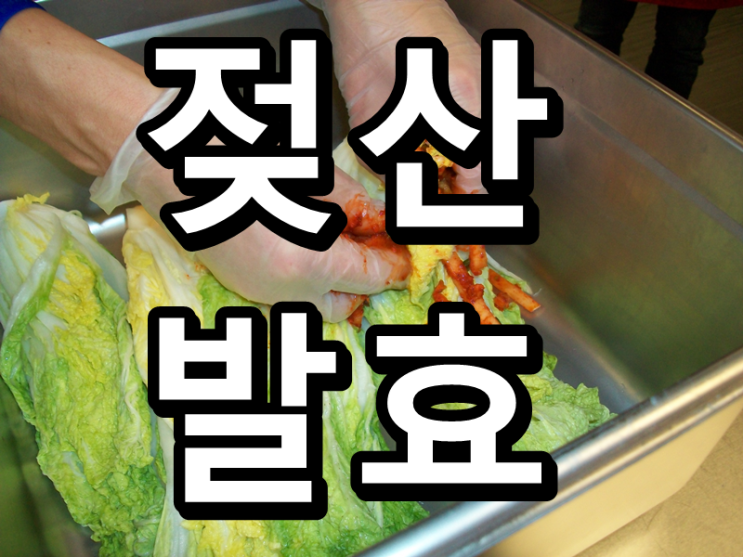  발효과정 두 번째, 젖산발효