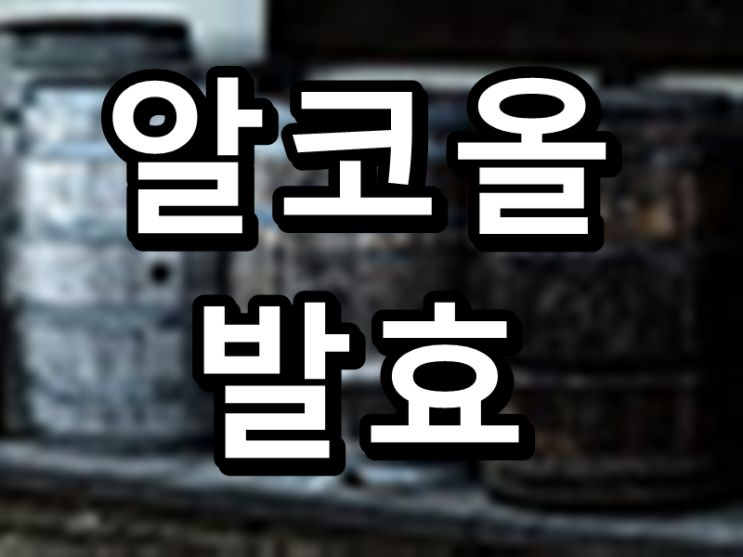  발효과정 그 첫 번째, 알코올발효