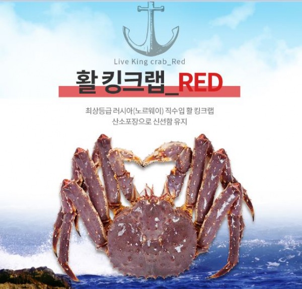   러시아 붉은 활 킹크랩 2kg 1 