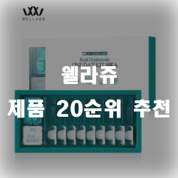  웰라쥬 제품 추천 리스트 20  입니다