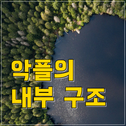 악플의 내부 구조