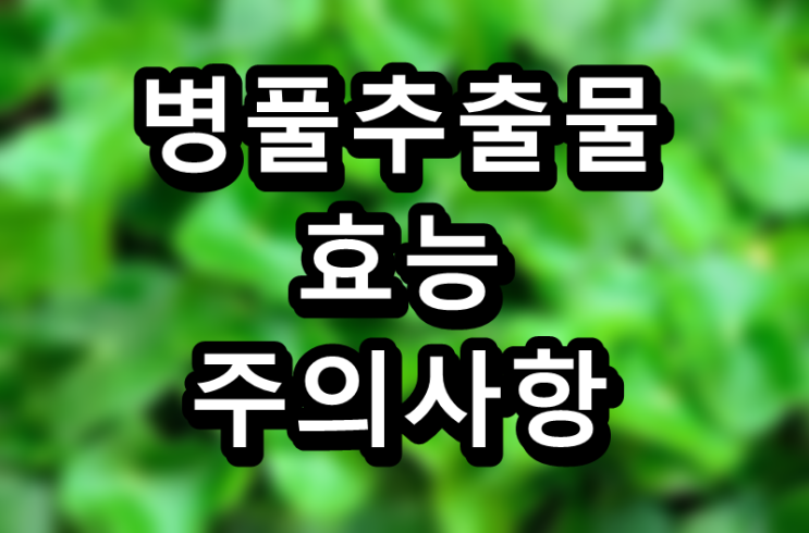  호랑이도 치유한다는 병풀추출물, 효능과 주의사항