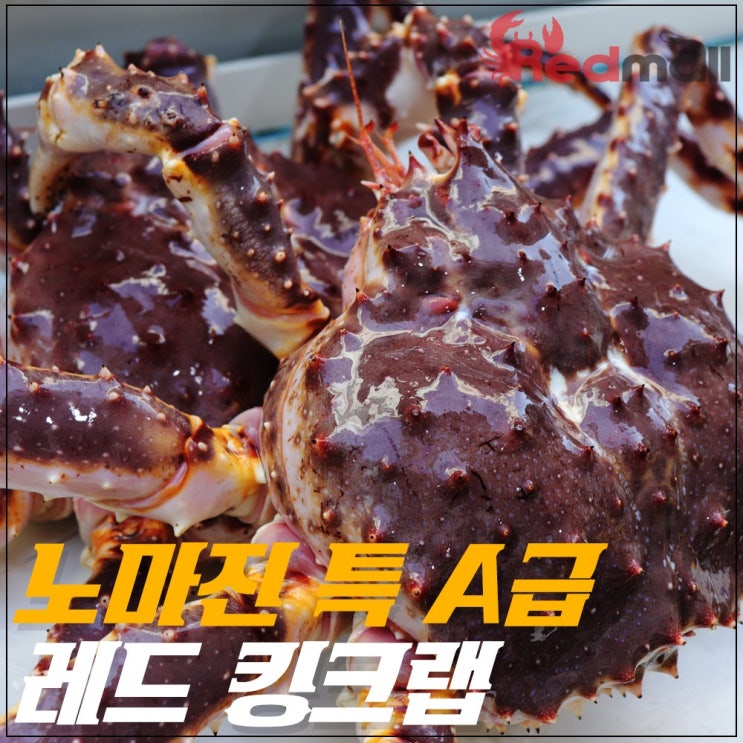   레드몰 NO마진특A급 살아있는 킹크랩 활킹크랩 1개 킹크랩 28kg 