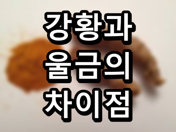  강황과 울금의 차이점