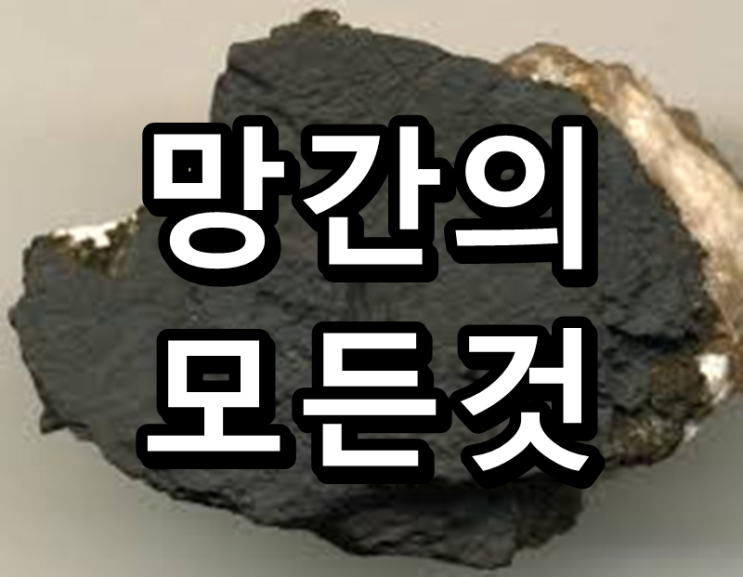  감정, 감각, 신진대사에 도움을 주는 망간