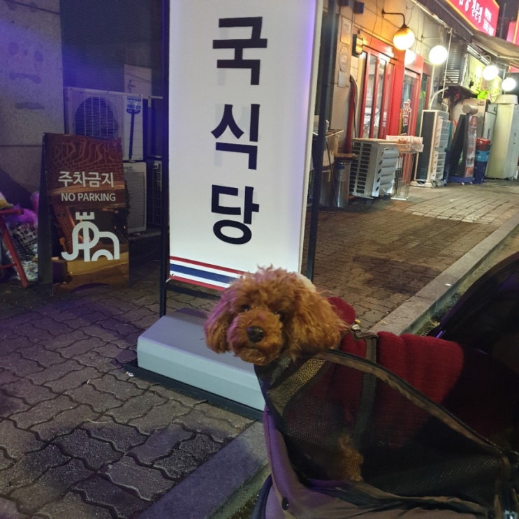  목동역 맛집 ) 사눅타이 : 태국음식점 애견동반식당