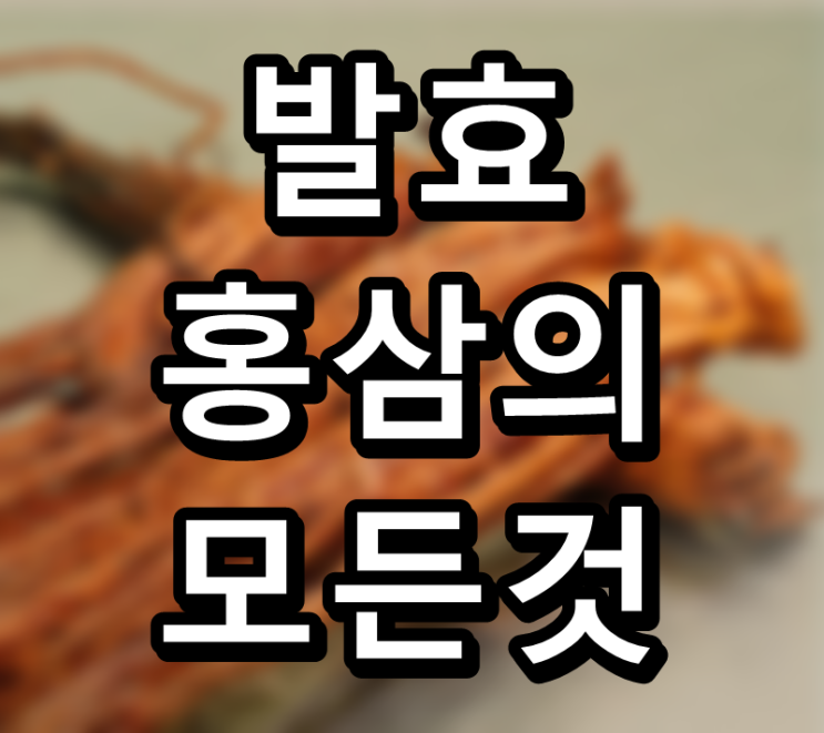  홍삼을 발효시키는 이유와 고르는 방법