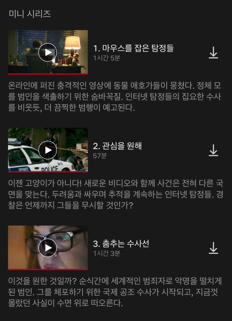 넷플릭스 다큐 고양이는 건드리지 마라 루카 매그노타 진짜 소름 네이버 블로그