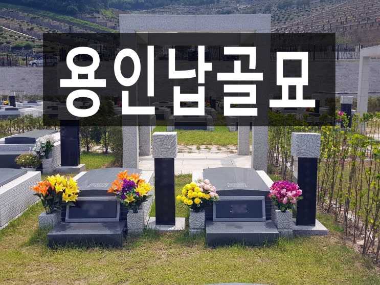  용인납골묘 대단위 규모를 자랑하는 오래된 공원묘원..