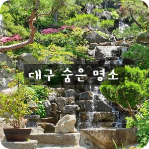  대구 어디까지 가봤니? - 대한수목원