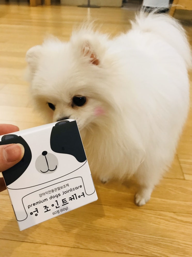  강아지 관절영양제 추천 멍 조인트케어 포메라니안 슬개골탈구에 좋아요
