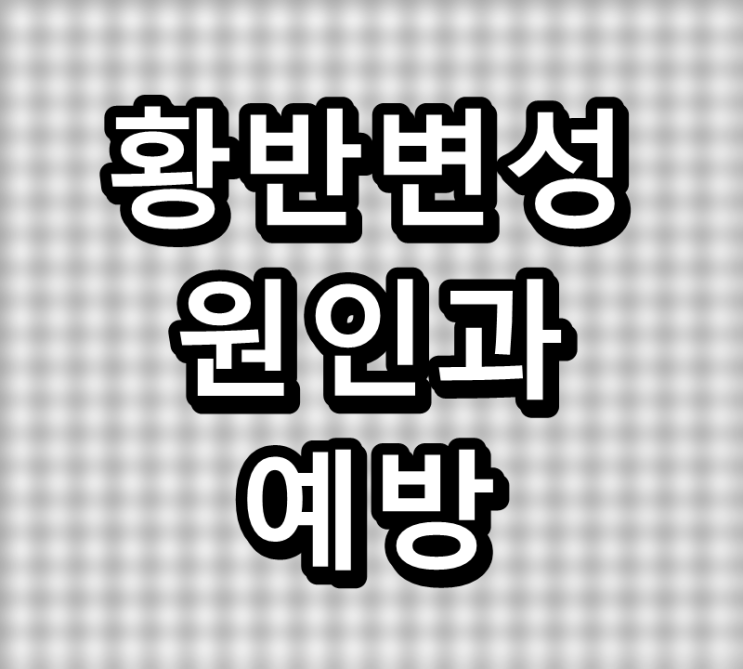  황반 변성의 원인과 예방