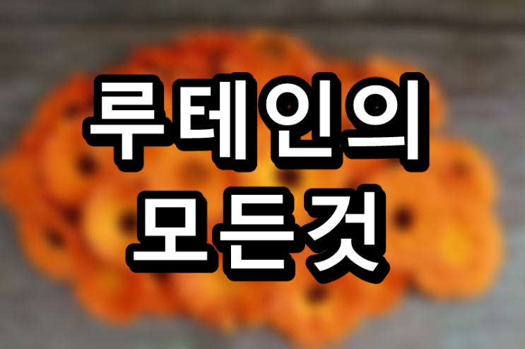  눈 건강 프로젝트 첫 번째, 루테인
