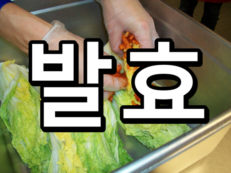 우리와 평생을 함께 하는 [발효]