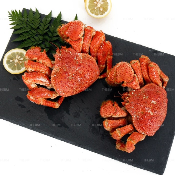   남극 청정바다 신선한 대게 어린 자숙 냉장 킹크렙 600g 