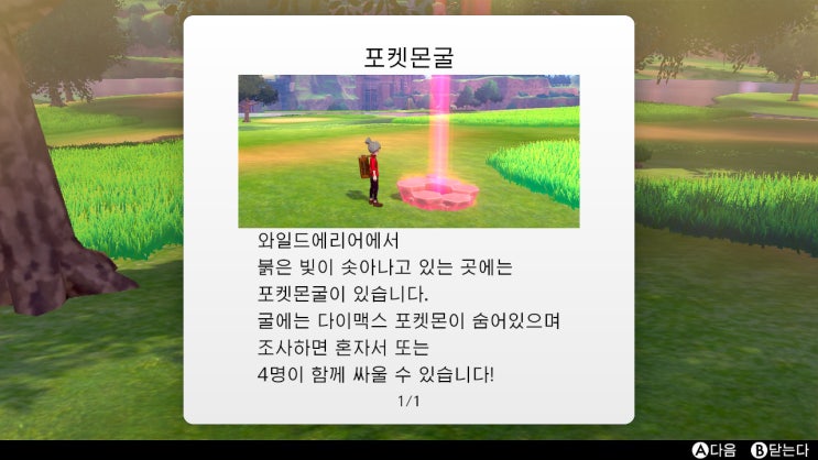  [게임일기] 포켓몬스터 소드 #첫 다이맥스와 파르빗, 배루키 포획