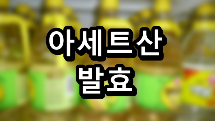  발효과정 세 번째, 아세트산 발효와 식초