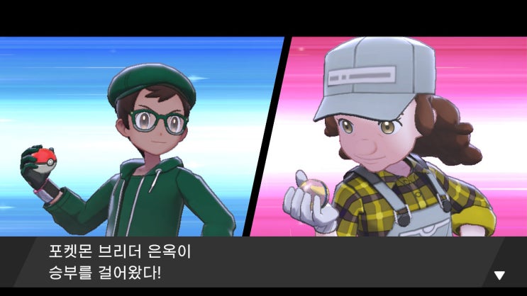  [게임일기] 포켓몬스터 소드 #스타팅을 모두 모은 자
