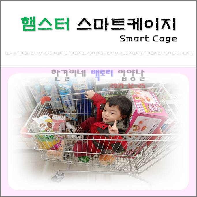  리뷰. 햄스터 하우스 스마트케이지와 함께 "백토리"를 입양하다.