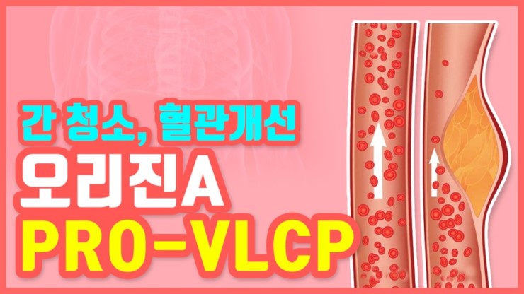  superliversol 슈퍼리버솔 Superliversol 혈관 기능 개선을 위해