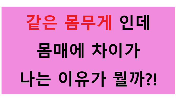  다이어트 : 동탄/2동탄/영천동 점핑다이어트 운동