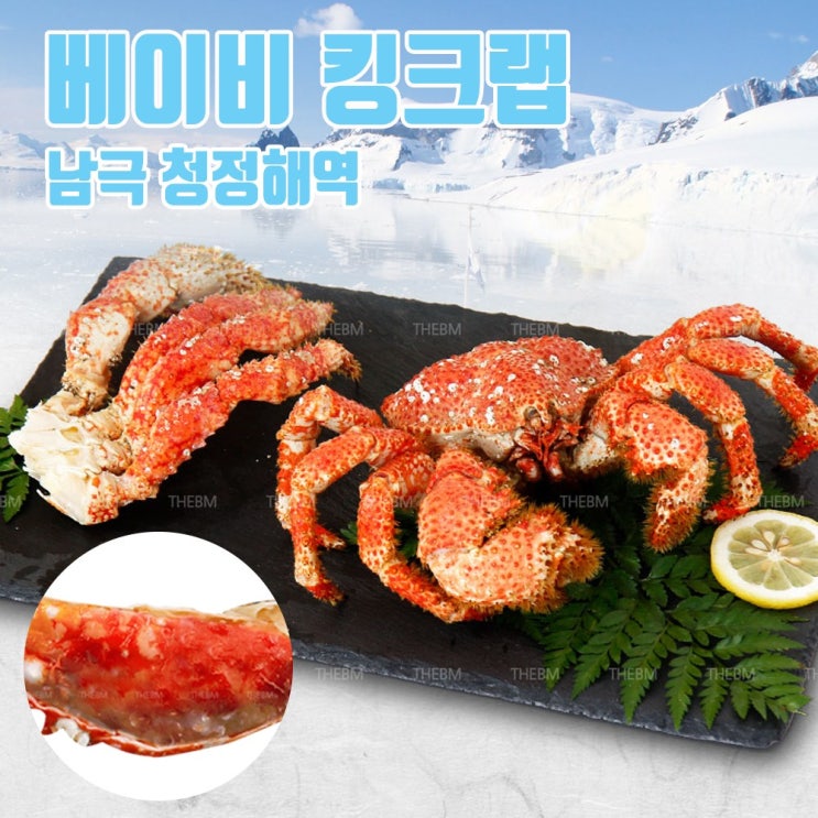   프라우스타 남극 청정해역 베이비 킹크랩 1마리 500g내외 