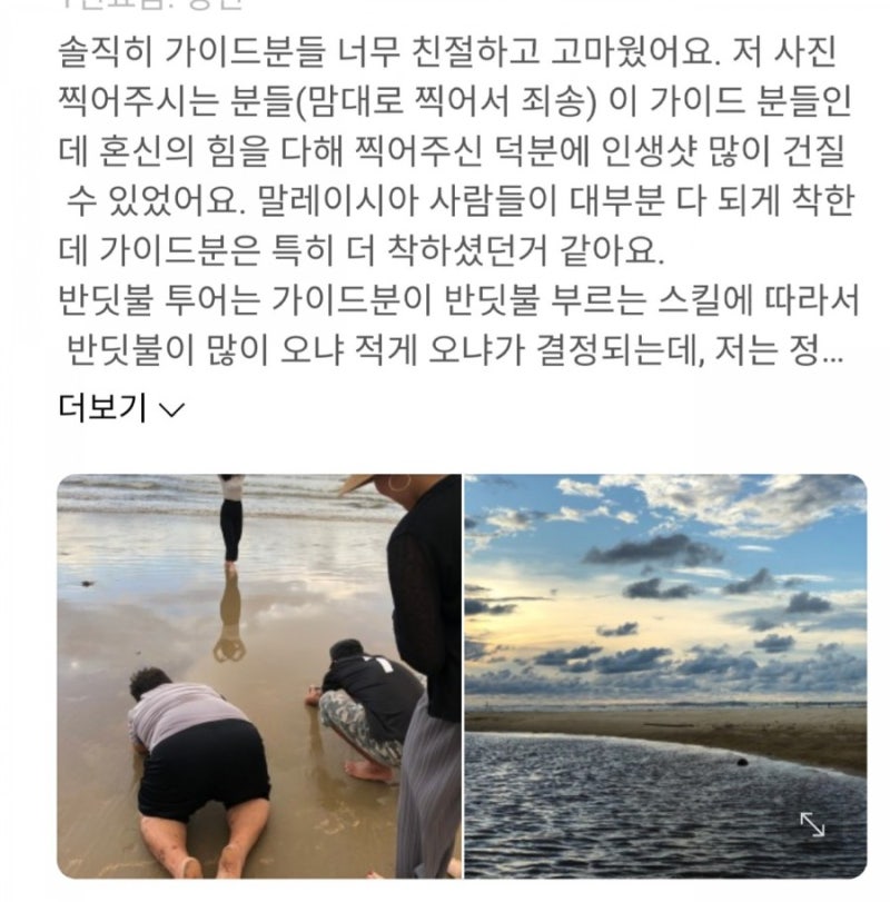 말레이시아 코타키나발루 여행 4일차 2탄 '원숭이 투어, 반딧불이 투어'