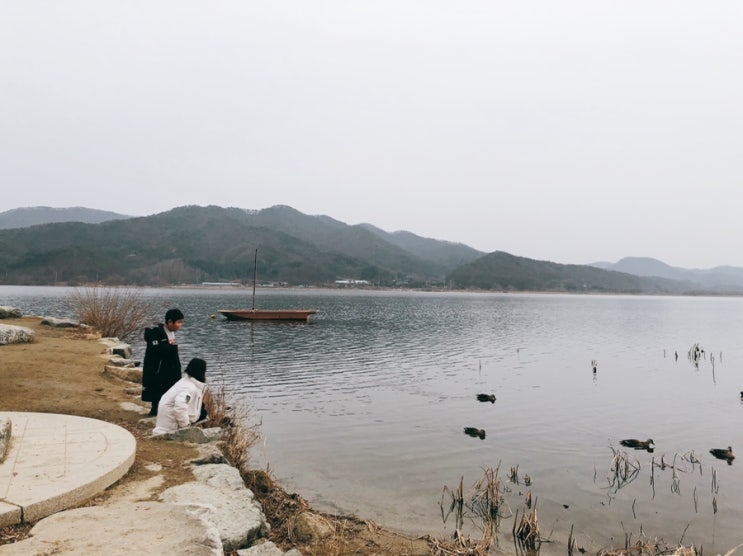  [양평] 따뜻한 겨울날 아이들과 함께 한 두물머리 여행