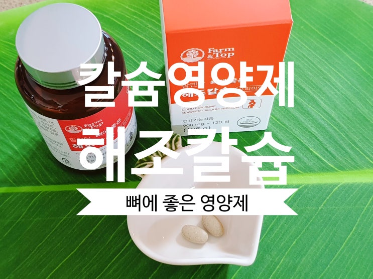  [칼슘 영양제] 팜엔탑 해조칼슘 뼈에 좋은 영양제