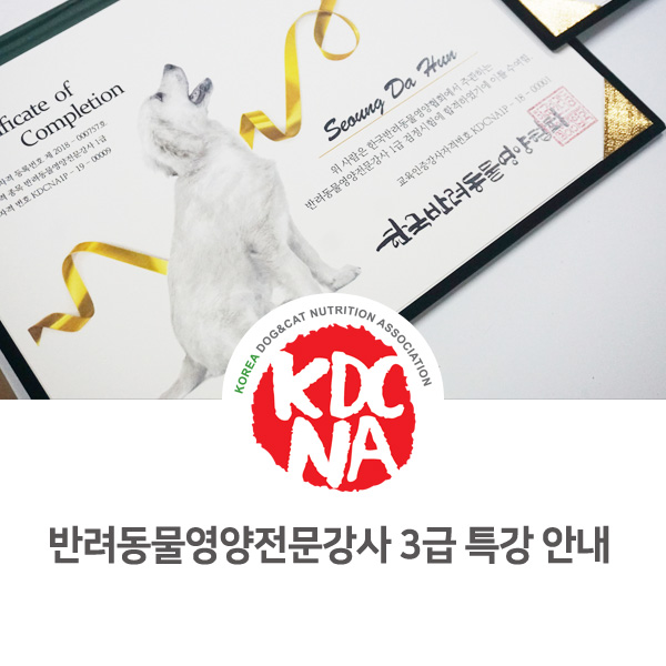  [한국반려동물영양협회] 2020년 상반기 펫푸드 반려동물영양전문강사 3급 자격 취득 전국 교육 특강 일정