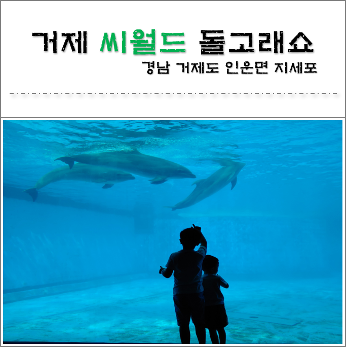  경남 거제 아이들과 함께 가볼만한 곳 (거제 씨월드)