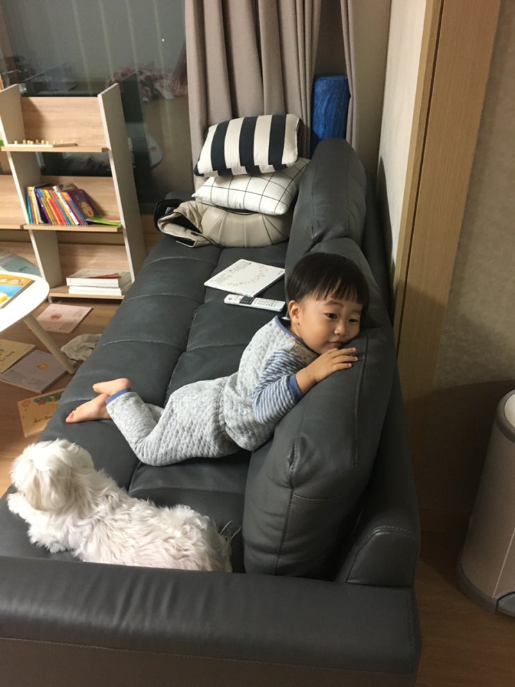  나무아빠의 육아일기(80)