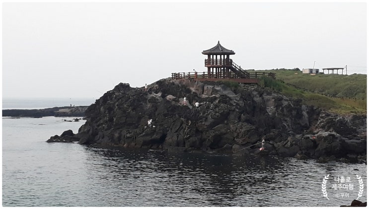  제주 닭머르(닭머리)해안 생활낚시 갯바위 포인트와 가능한 바다낚시 장르 모음