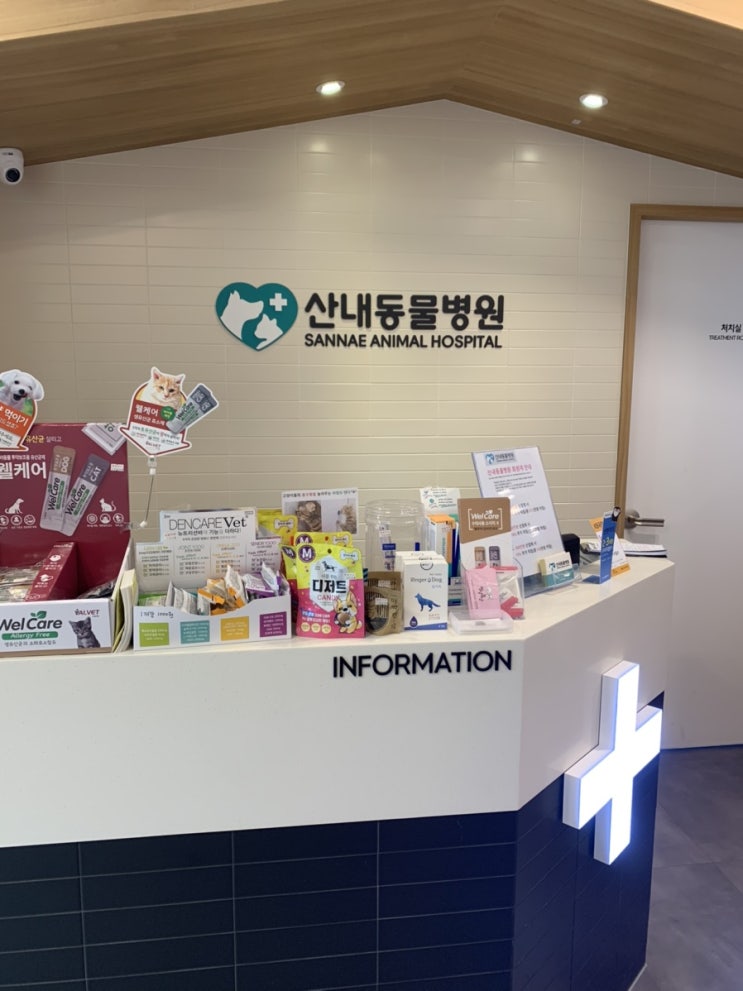  두부의 첫 건강검진 (반려견 건강검진, 운정 산내동물병원)