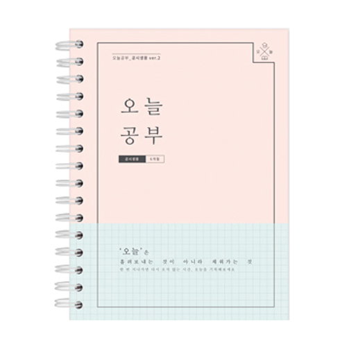   리훈 오늘공부 스프링 공시생용 6개월용 스터디플래너 핑크 