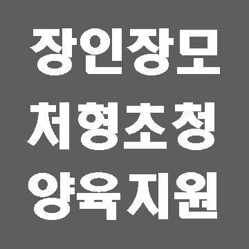  C3 F1 비자 외국인배우자 장인장모 처형 등 가족 초청, 양육지원