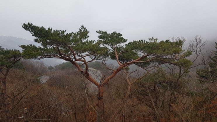  (지리산 노고단)겨울 눈길 산행 편한 길 성삼재 2시간 30분 여정 소개