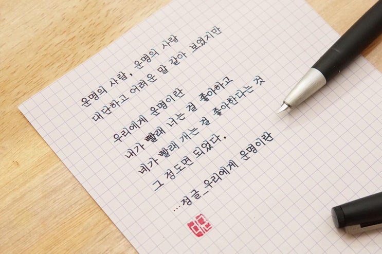 우리에게 운명이란 (라미 2000 마크롤론 ef)