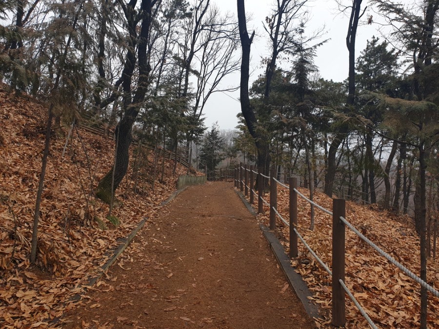 또오리 사진 3