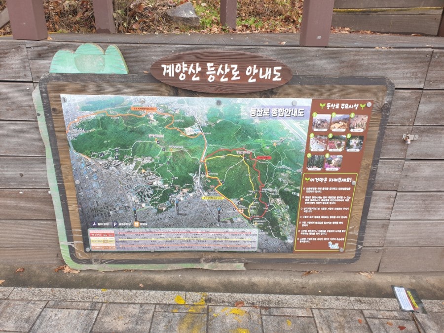 또오리 사진 1
