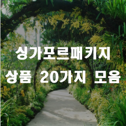 싱가포르로 떠나는 행복한 여행 모두 같이 떠나요