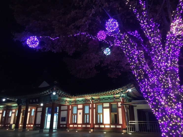 뚜벅이들의 영월 여행, 일정표 / 영월 별마로천문대, 청령포