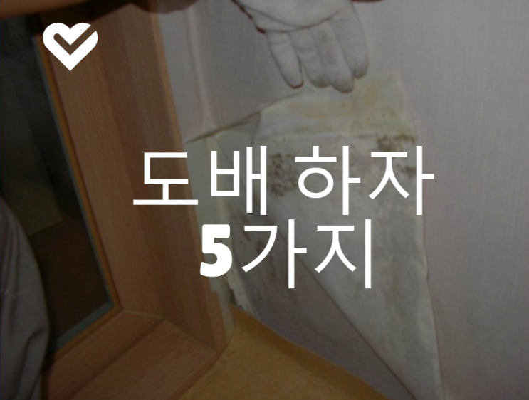벽지 인테리어 도배 하자 5가지 사례 벽지 인테리어 도배 하자 5가지 사례