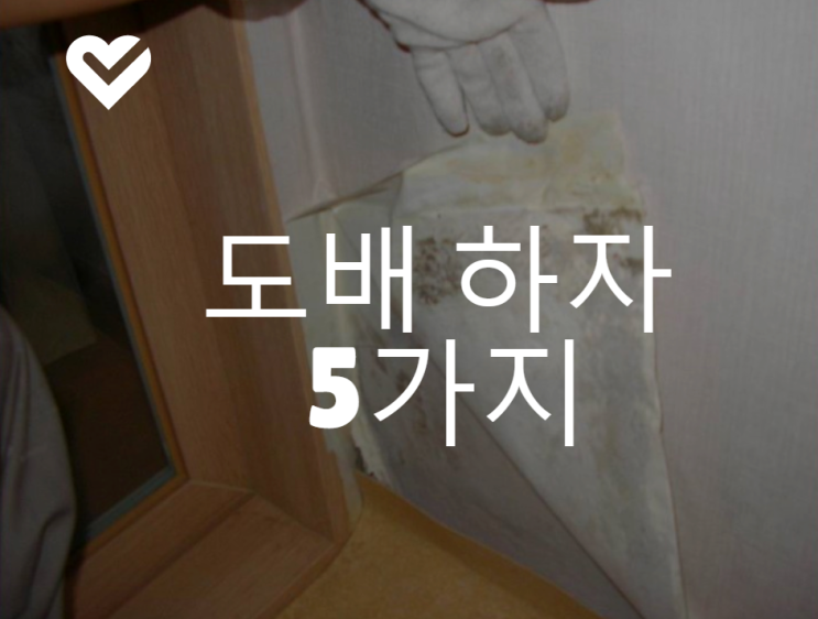 벽지 인테리어 도배 하자 5가지 사례