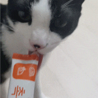 고양이 간식 뽀시래기 저염 촉촉츄르 (연어+참치 & 연어+칠면조)